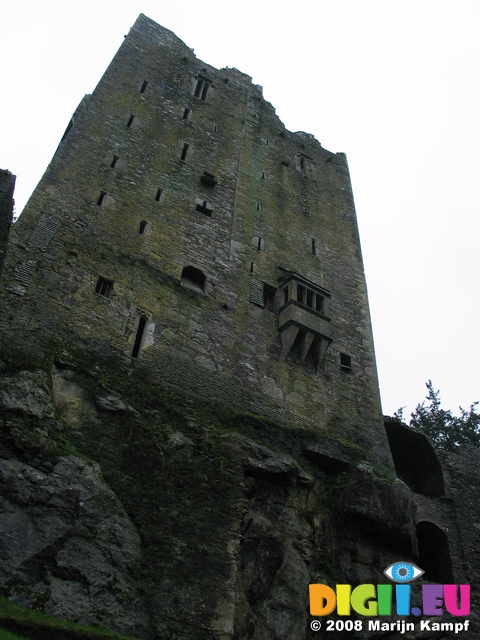 24800 Blarney Castle North Wall